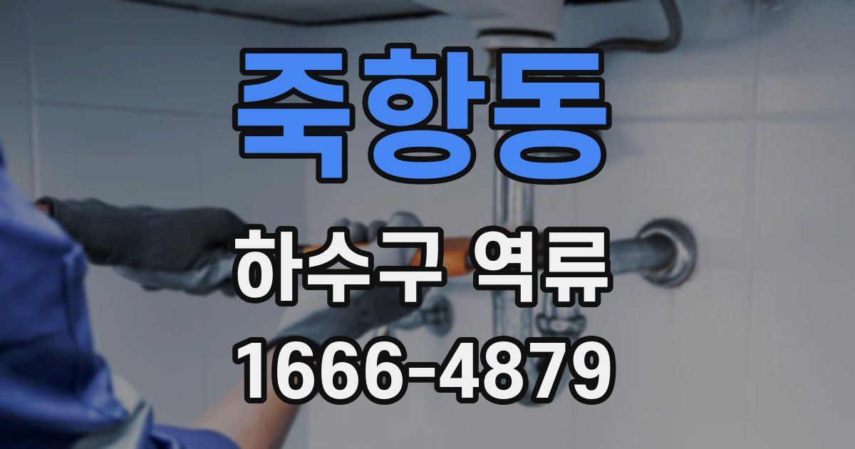 죽항동 하수구 역류