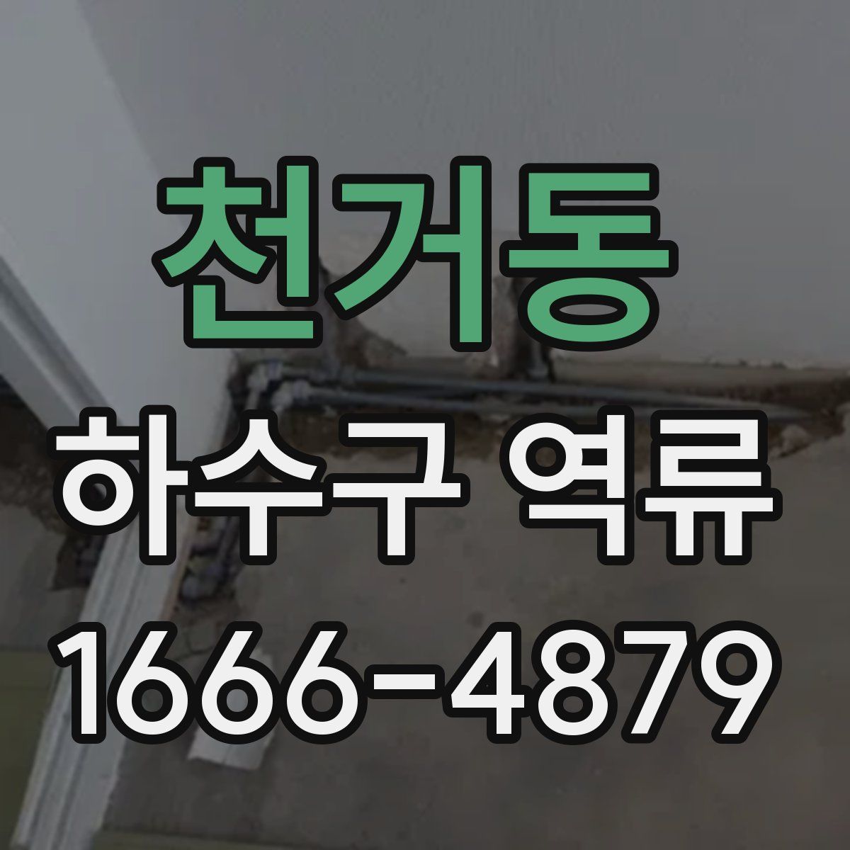 천거동 하수구 역류