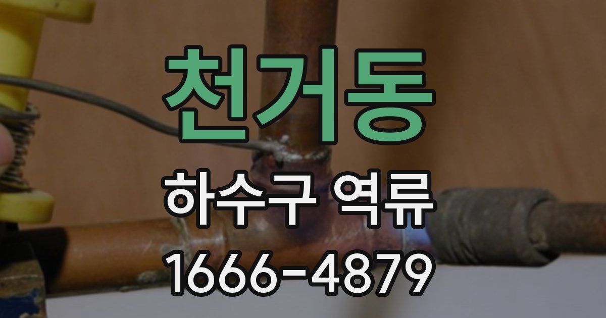 천거동 하수구 역류