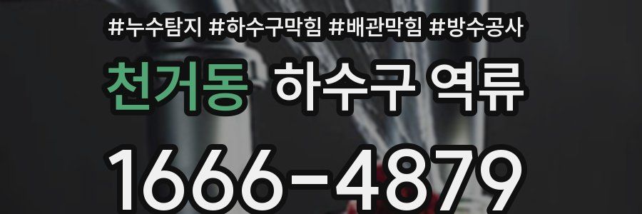 천거동 하수구 역류