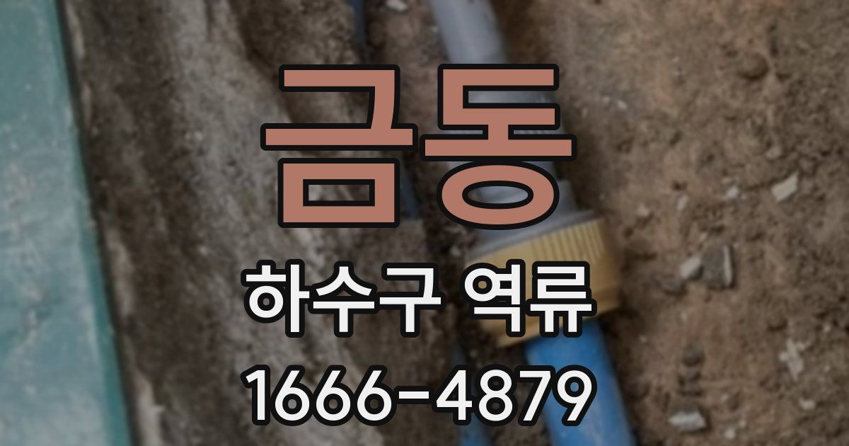 금동 하수구 역류