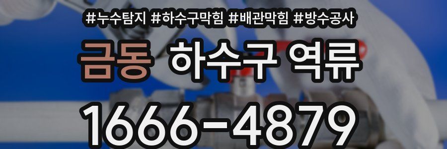금동 하수구 역류