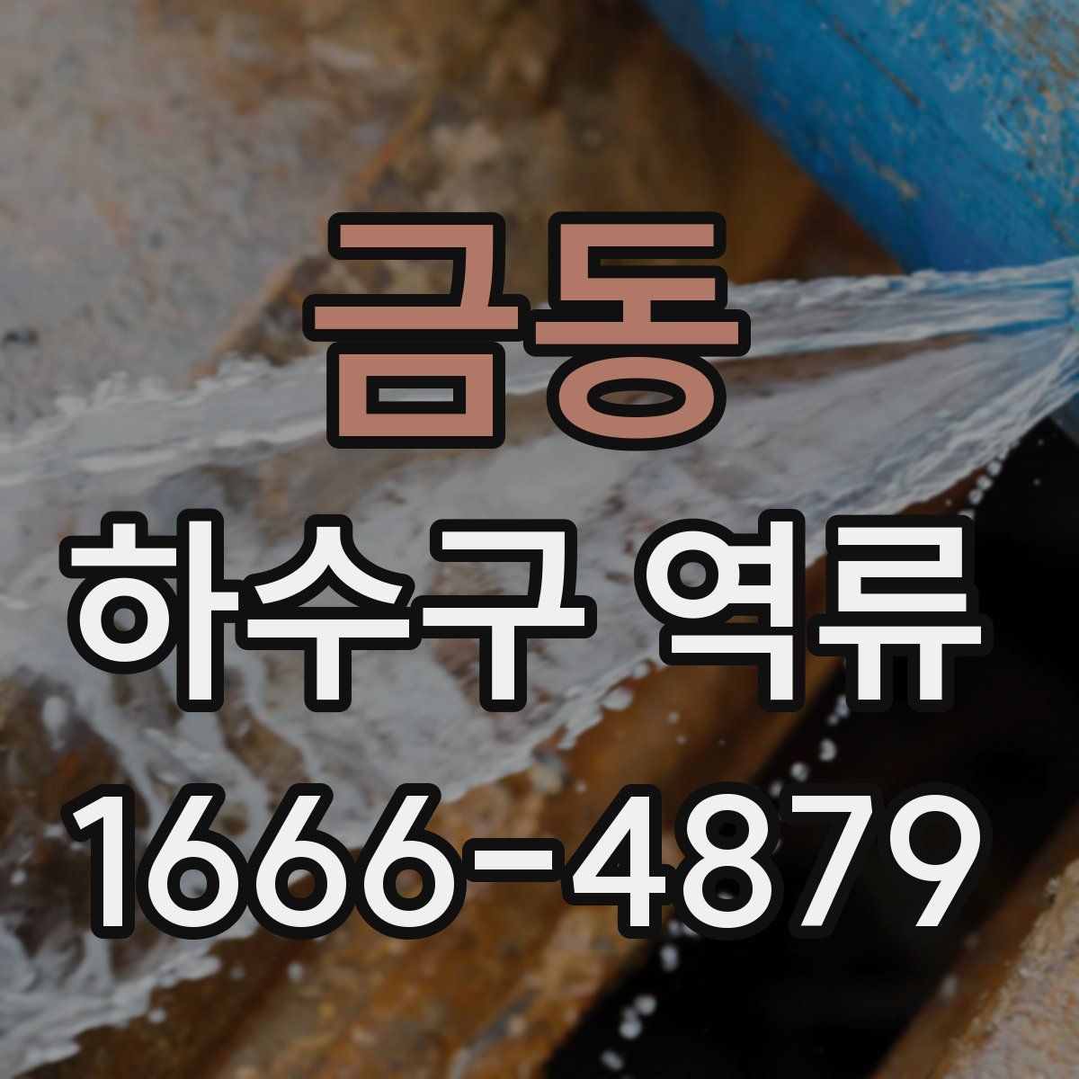 금동 하수구 역류