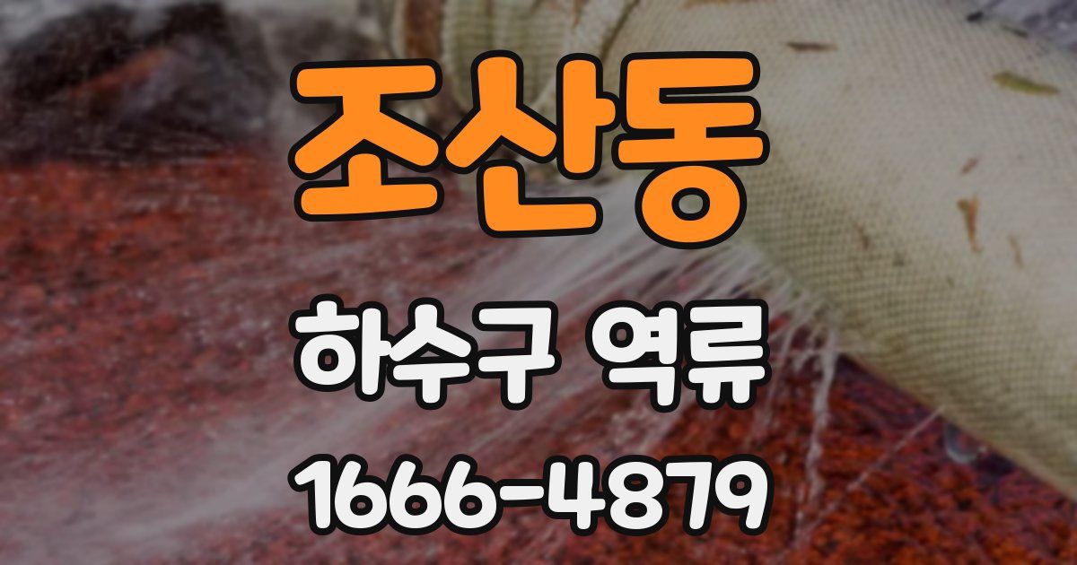 조산동 하수구 역류