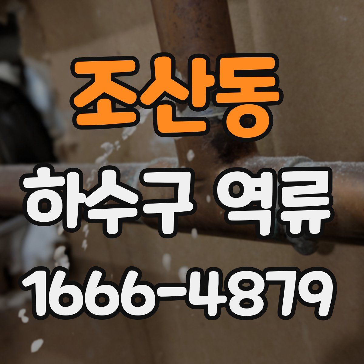 조산동 하수구 역류