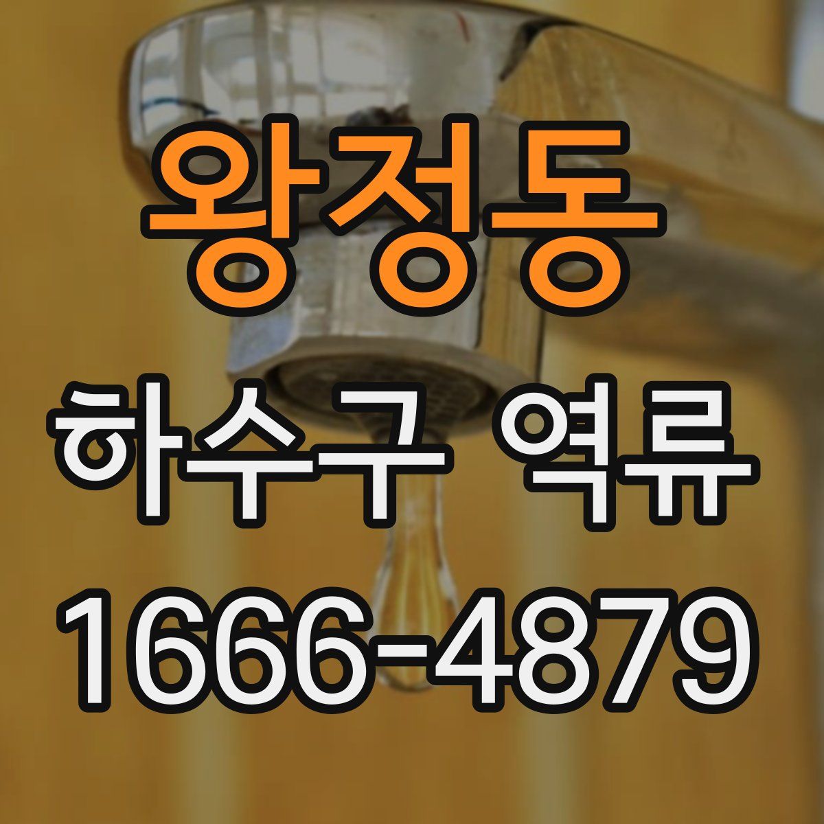 왕정동 하수구 역류