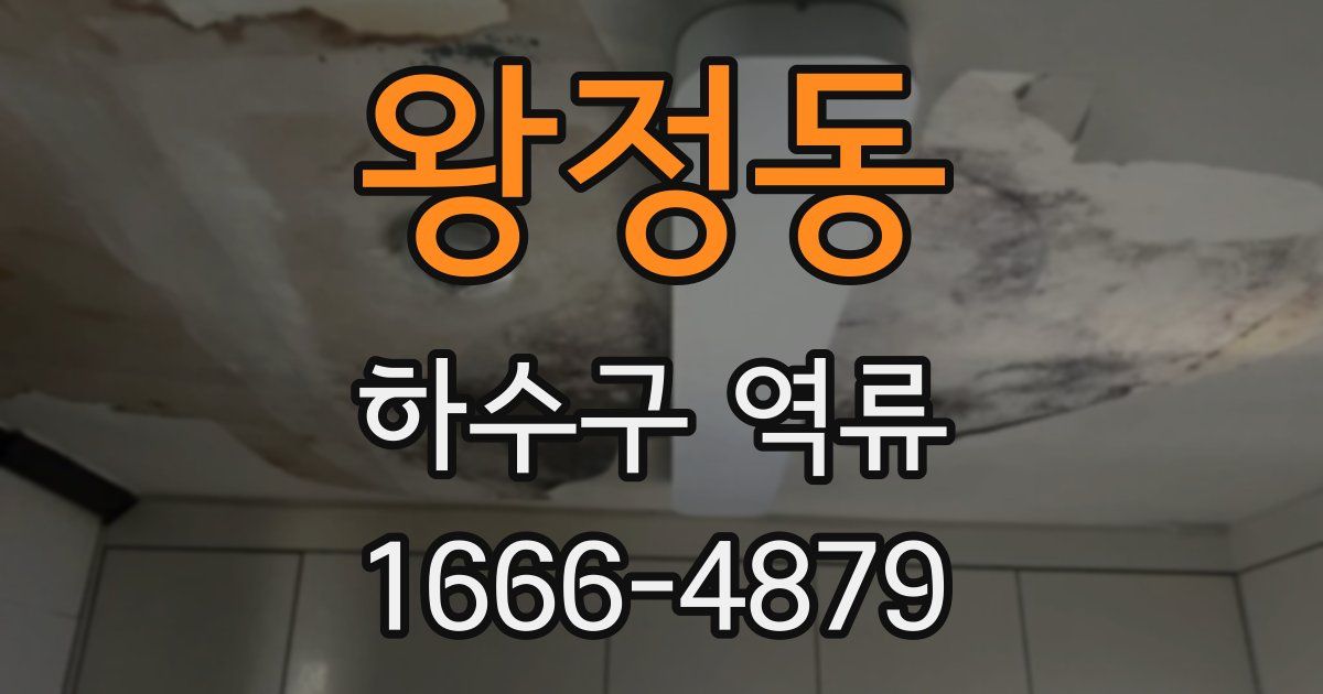 왕정동 하수구 역류