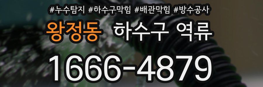 왕정동 하수구 역류