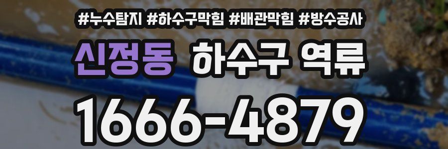 신정동 하수구 역류