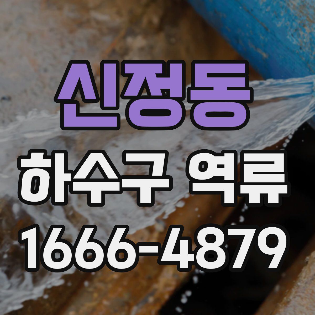 신정동 하수구 역류