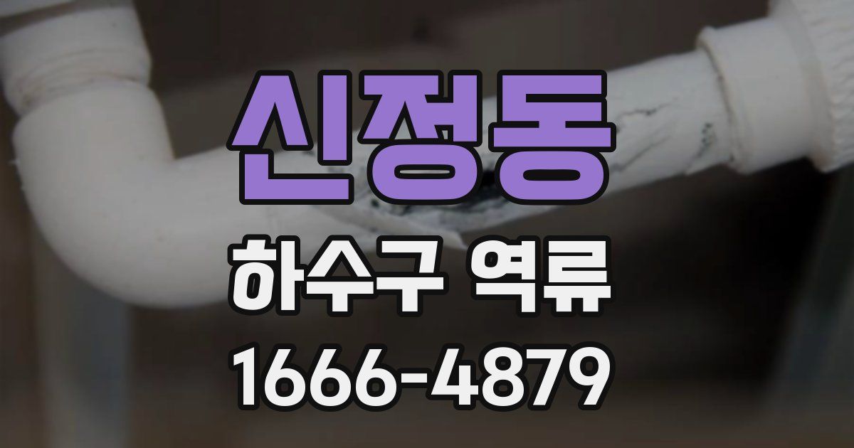 신정동 하수구 역류
