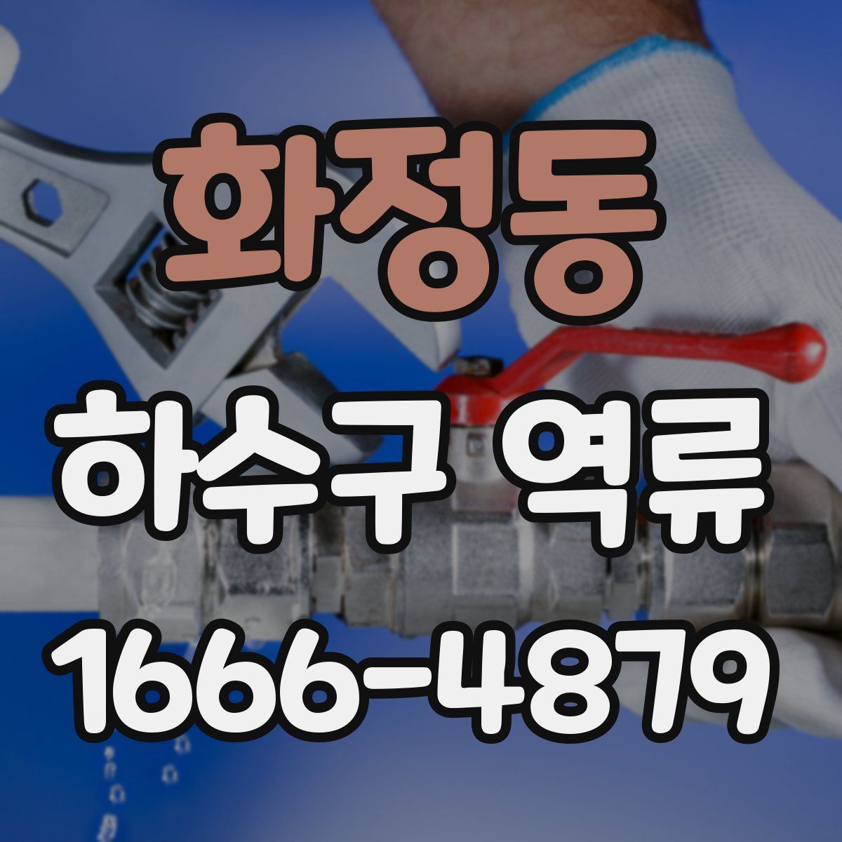 화정동 하수구 역류