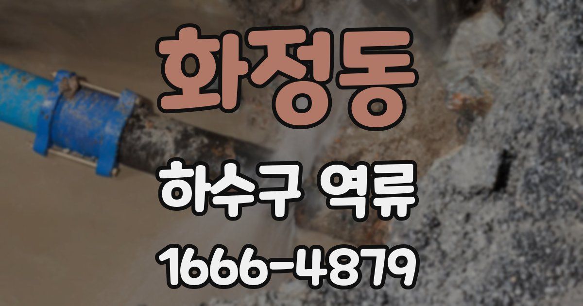 화정동 하수구 역류