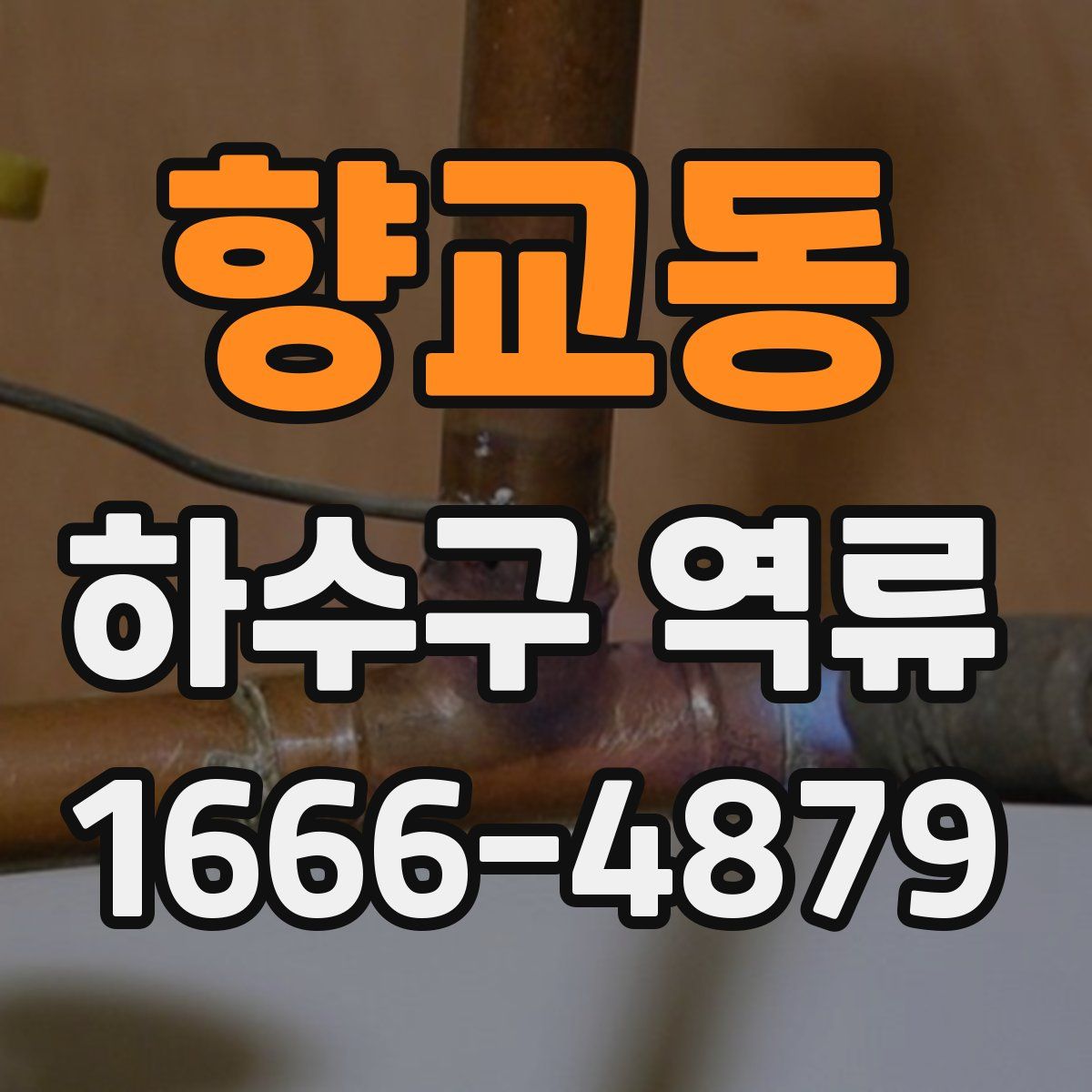 향교동 하수구 역류
