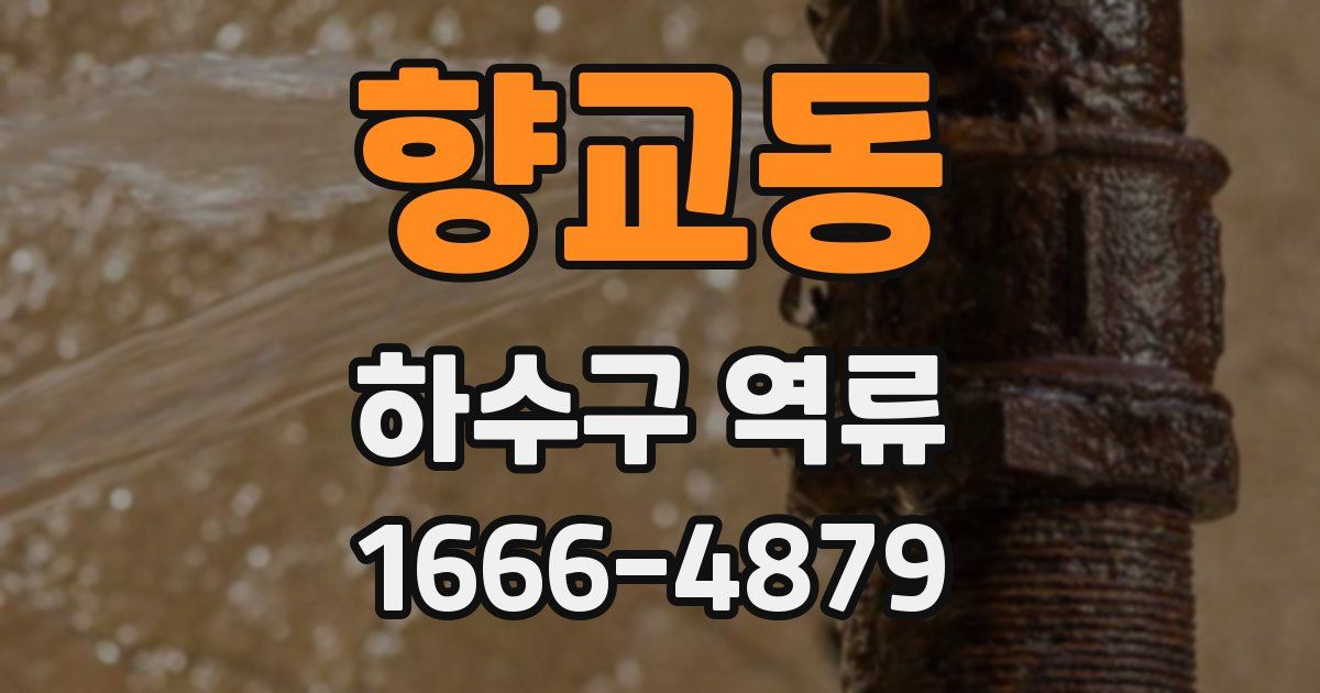 향교동 하수구 역류