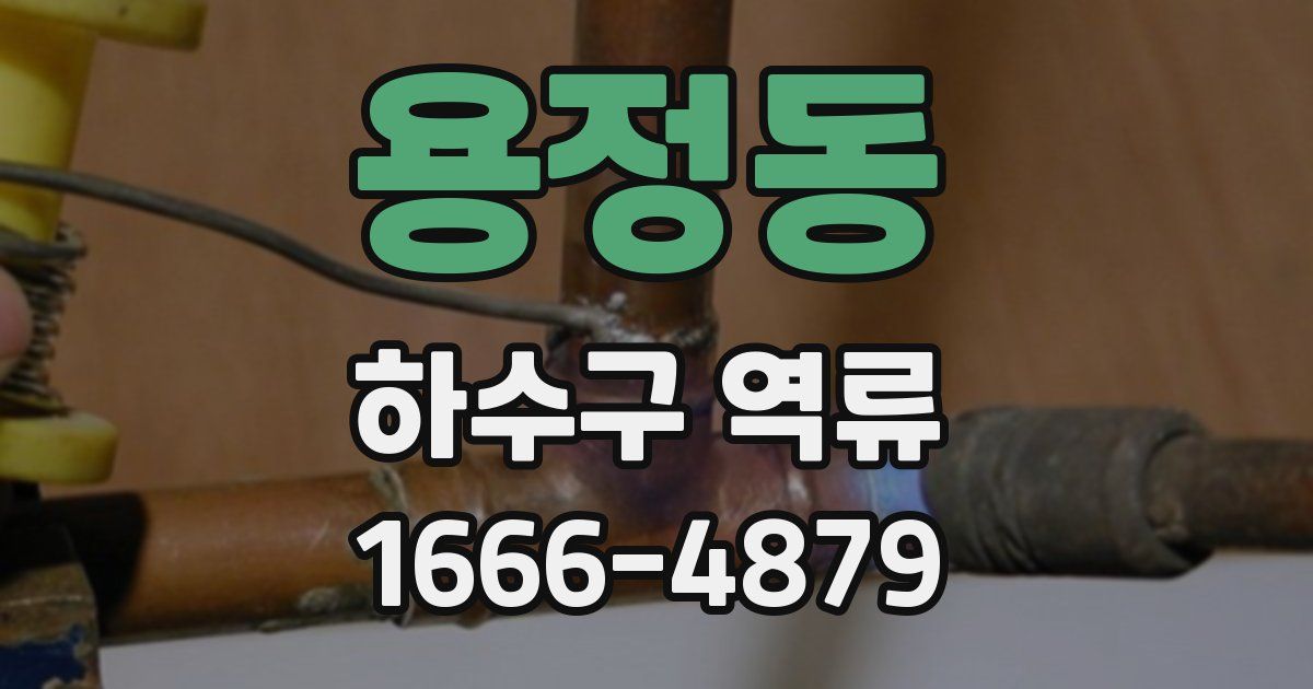 용정동 하수구 역류