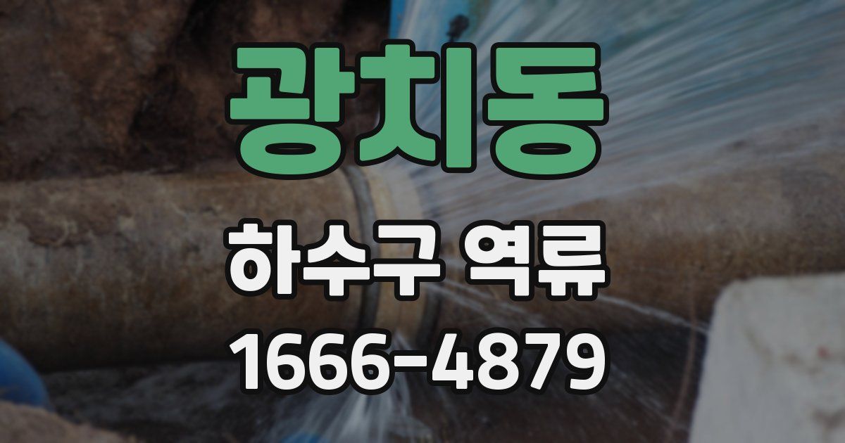 광치동 하수구 역류