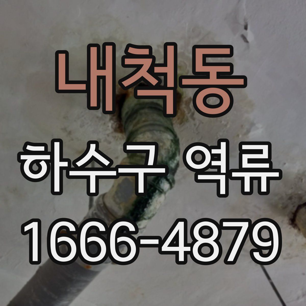 내척동 하수구 역류