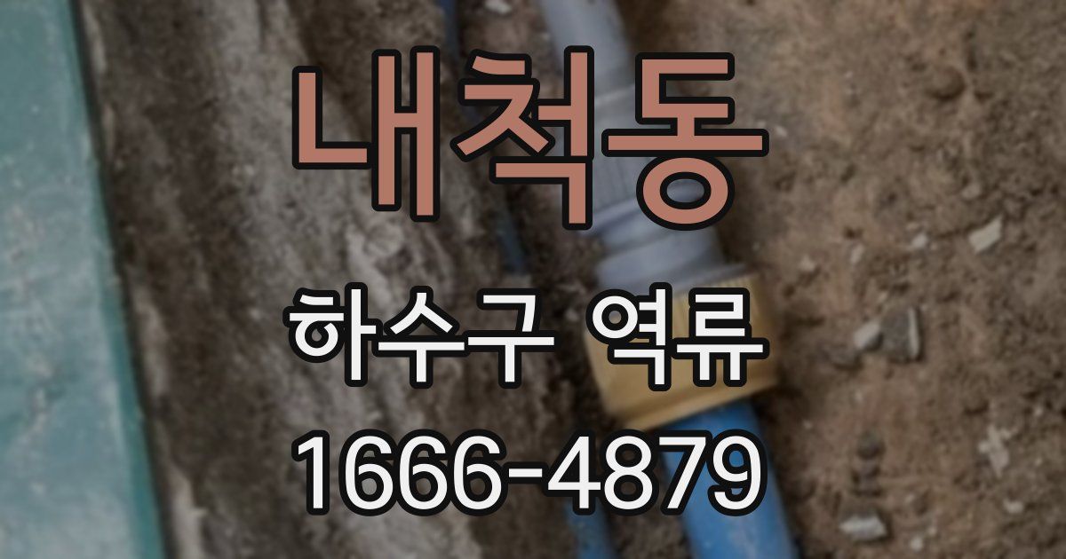 내척동 하수구 역류