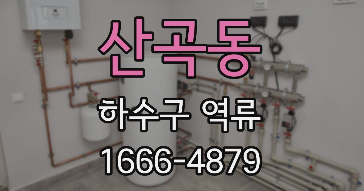 산곡동 하수구 역류
