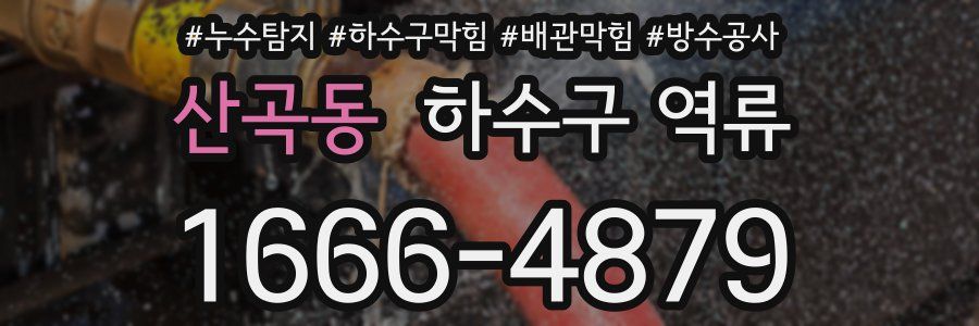 산곡동 하수구 역류