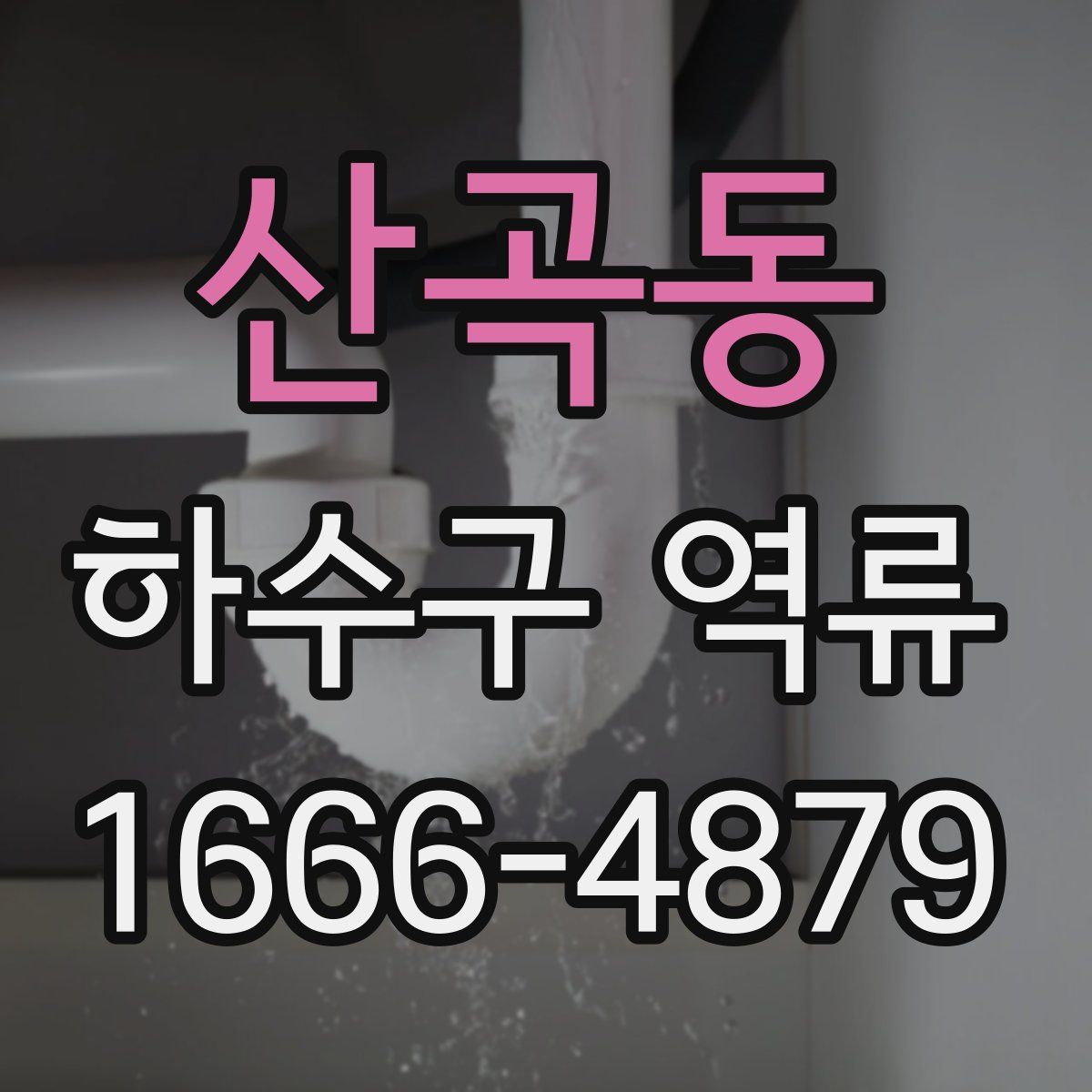 산곡동 하수구 역류