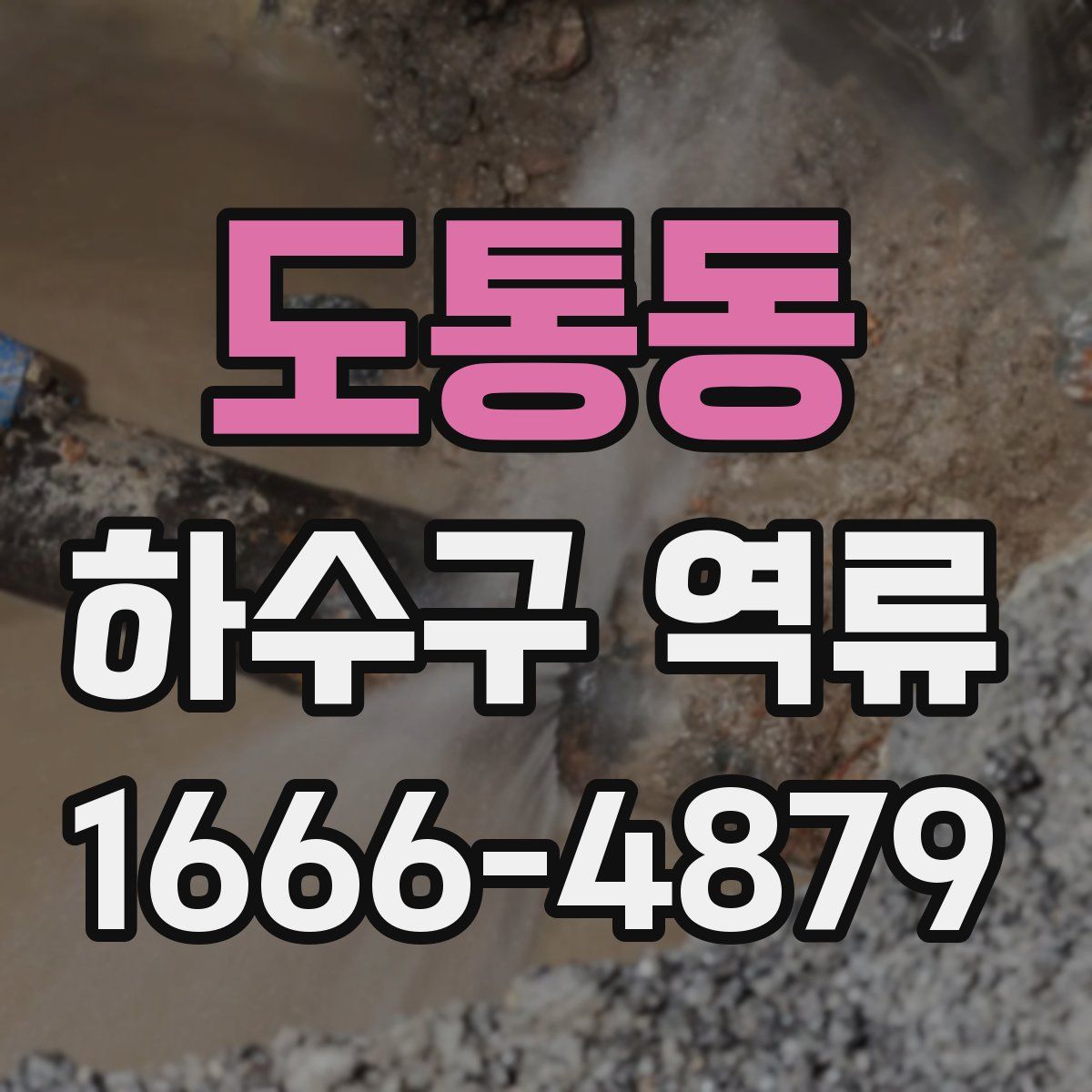 도통동 하수구 역류