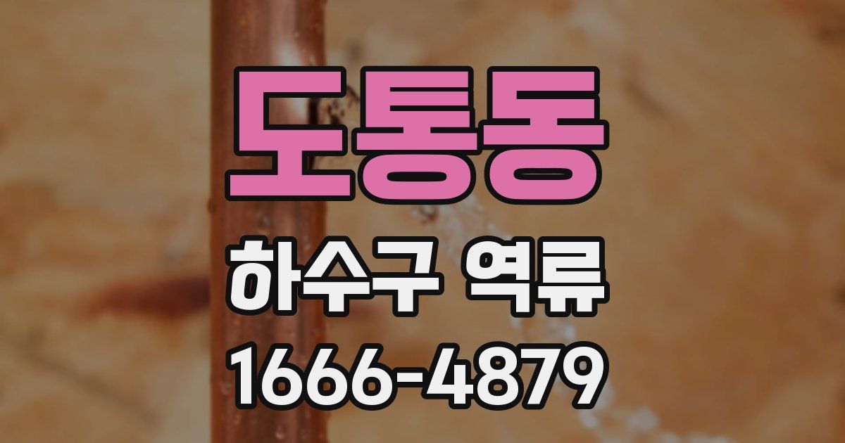 도통동 하수구 역류