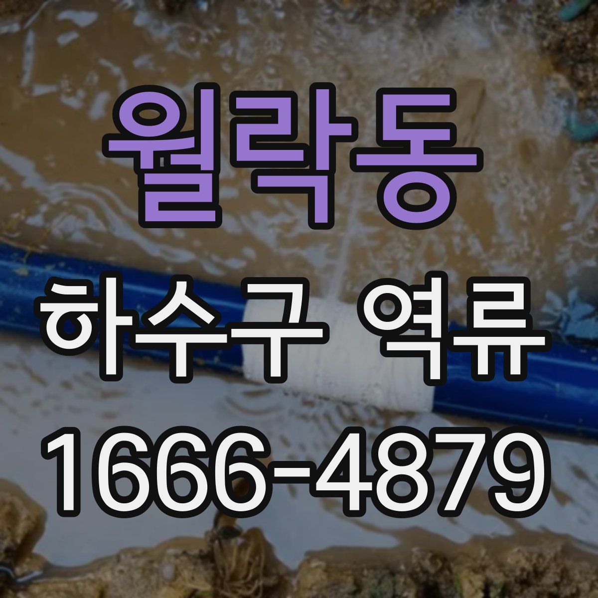 월락동 하수구 역류