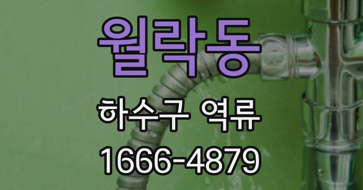 월락동 하수구 역류