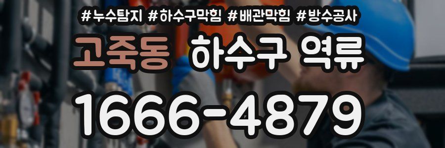 고죽동 하수구 역류