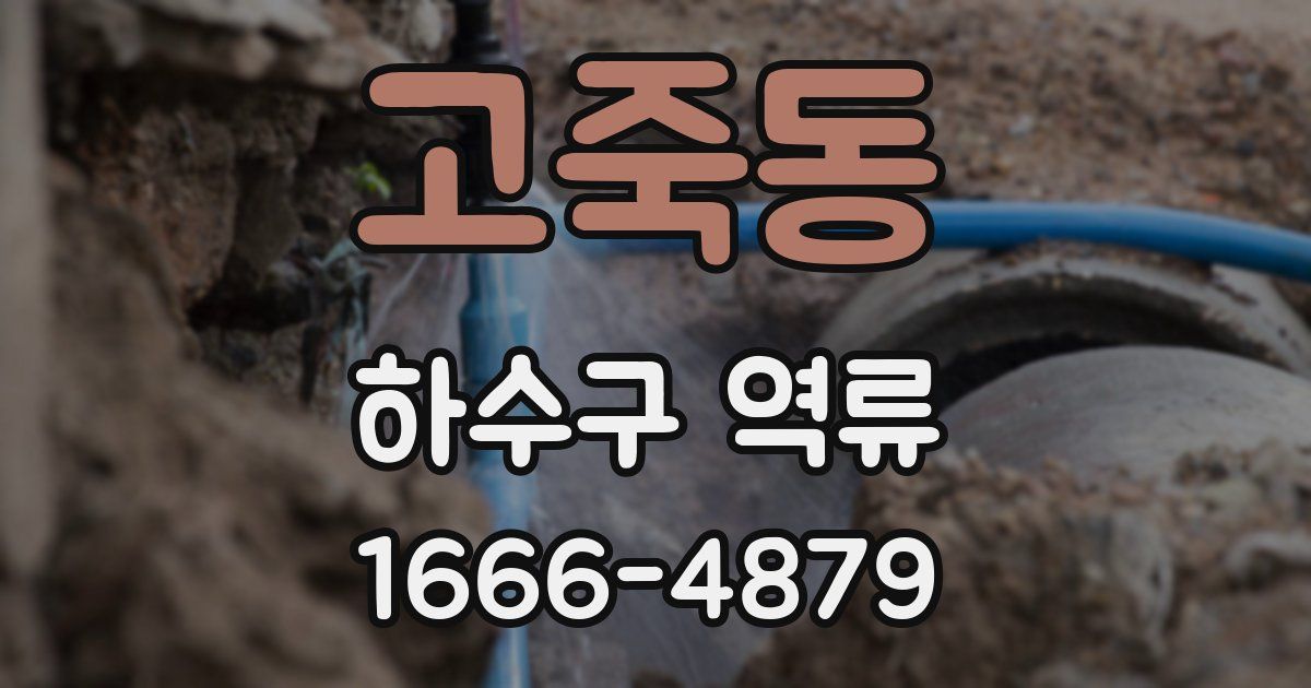 고죽동 하수구 역류