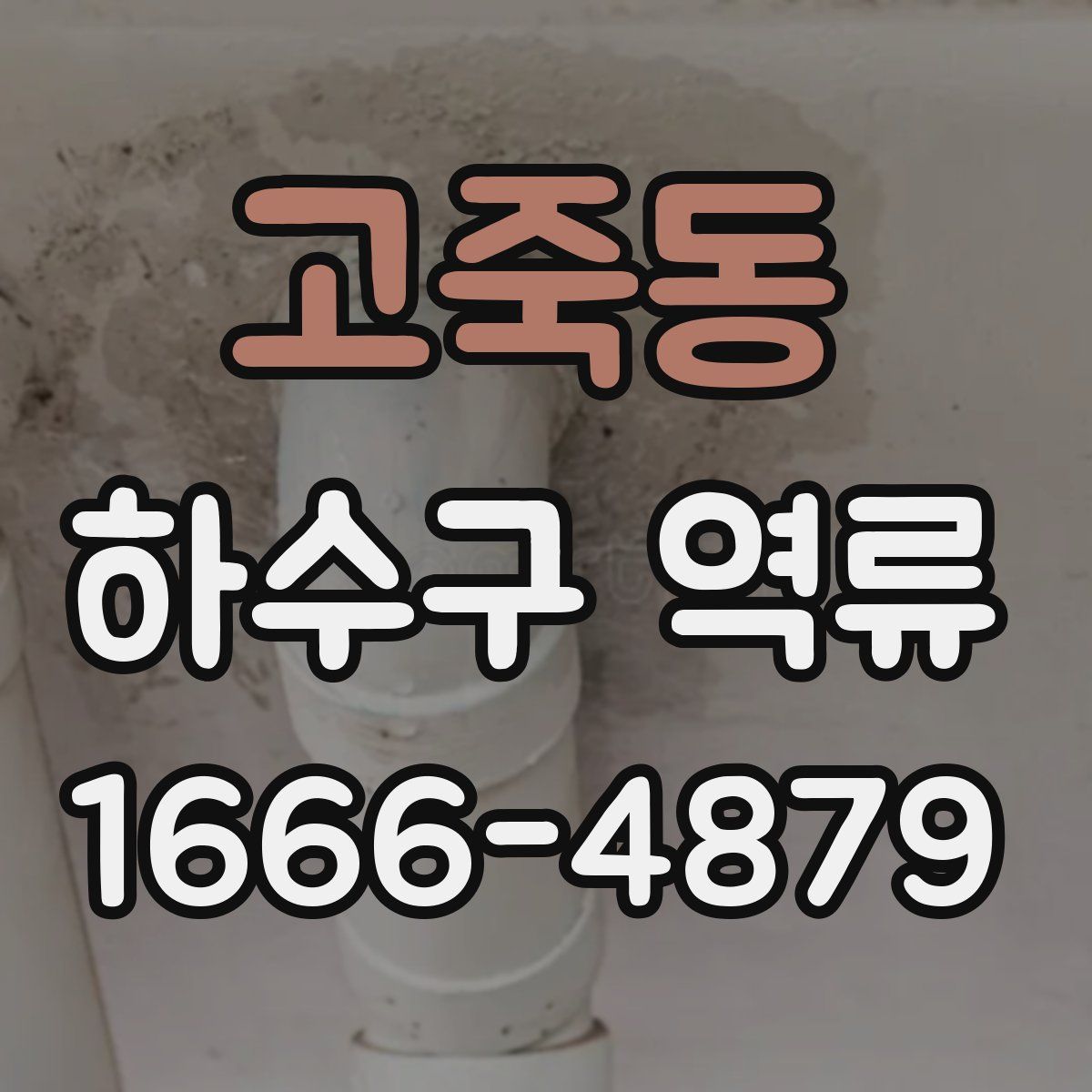 고죽동 하수구 역류