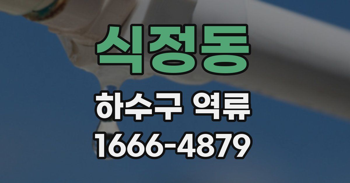 식정동 하수구 역류