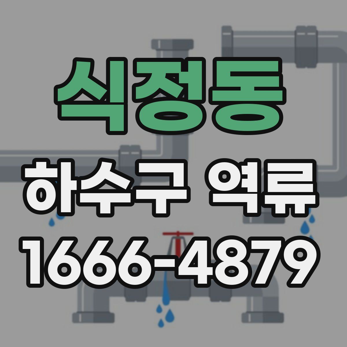 식정동 하수구 역류