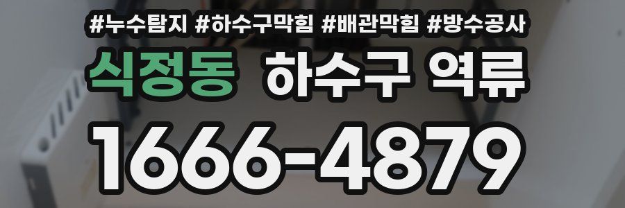 식정동 하수구 역류
