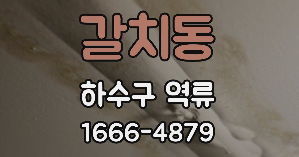 갈치동 하수구 역류
