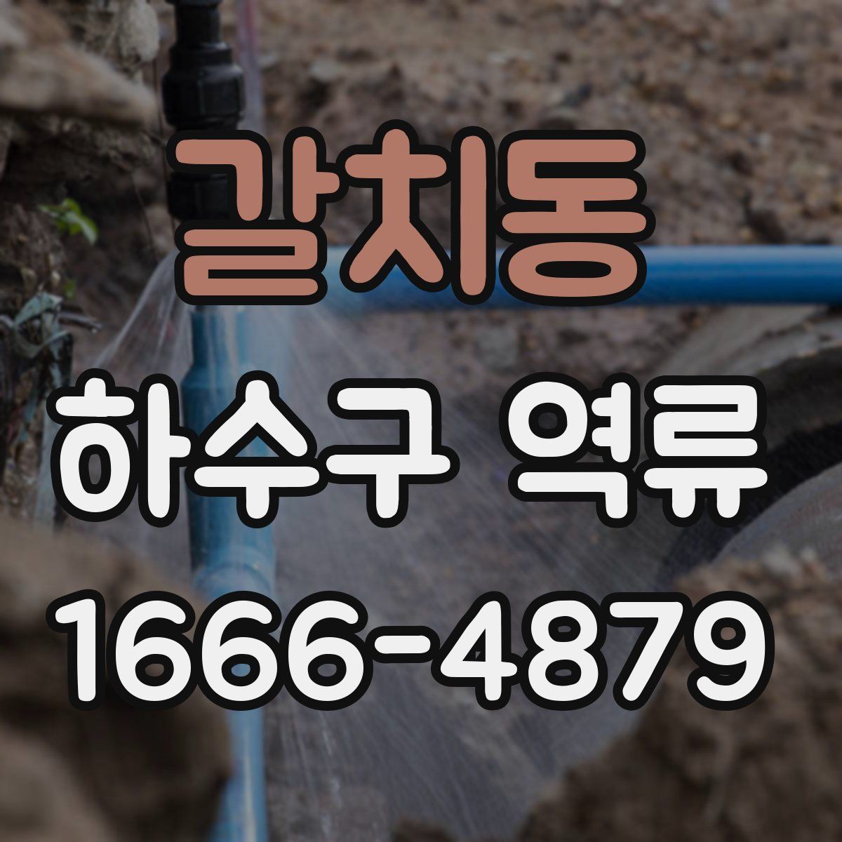 갈치동 하수구 역류