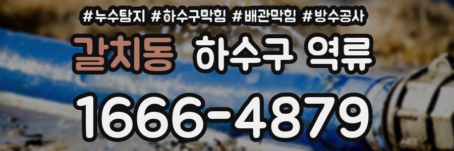 갈치동 하수구 역류