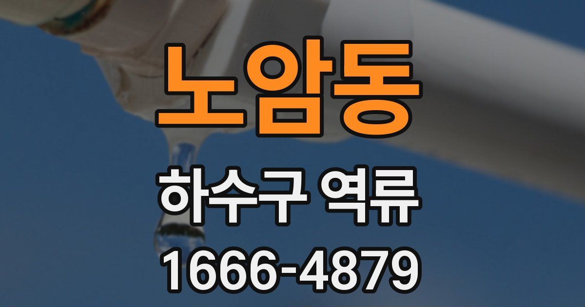 노암동 하수구 역류