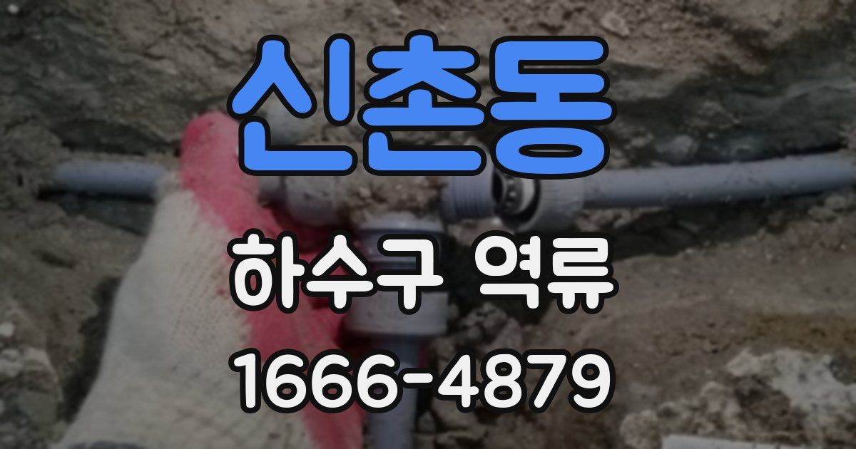 신촌동 하수구 역류