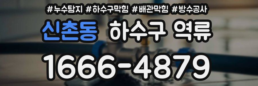 신촌동 하수구 역류