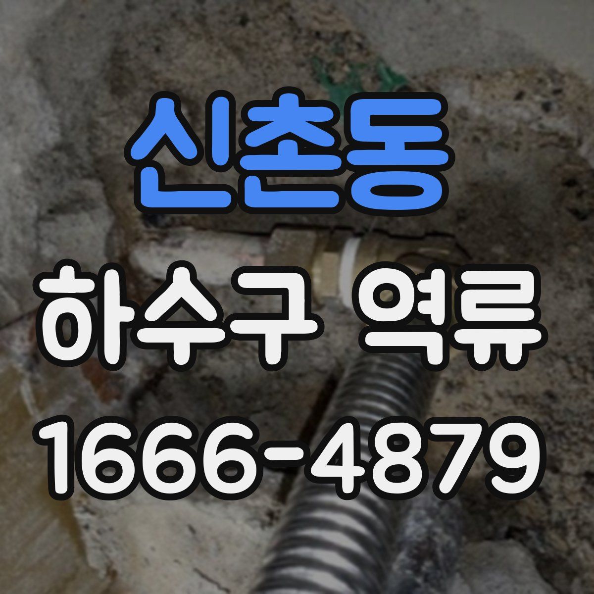 신촌동 하수구 역류