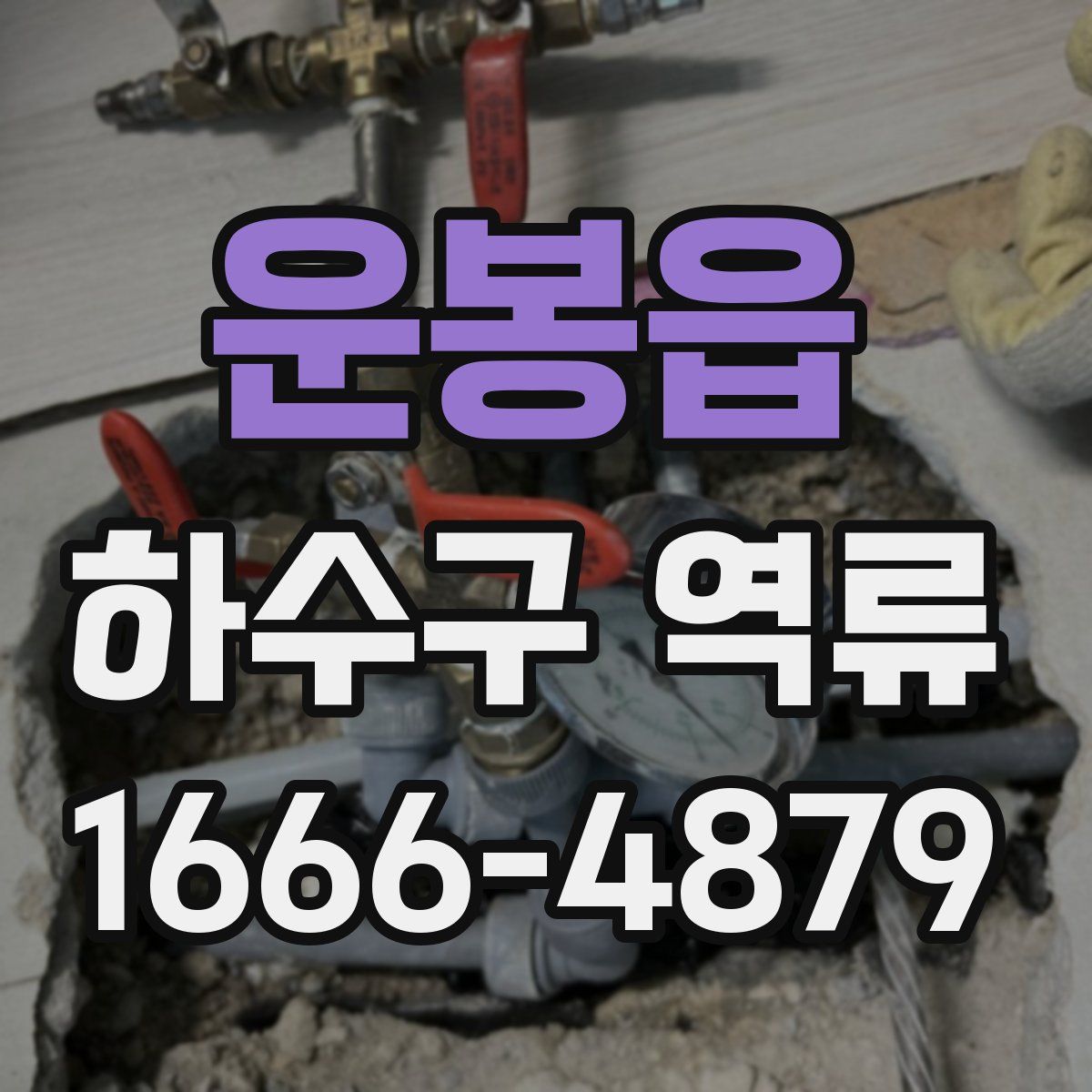 운봉읍 하수구 역류