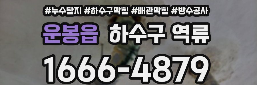 운봉읍 하수구 역류
