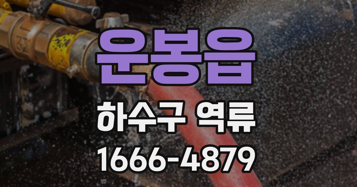 운봉읍 하수구 역류
