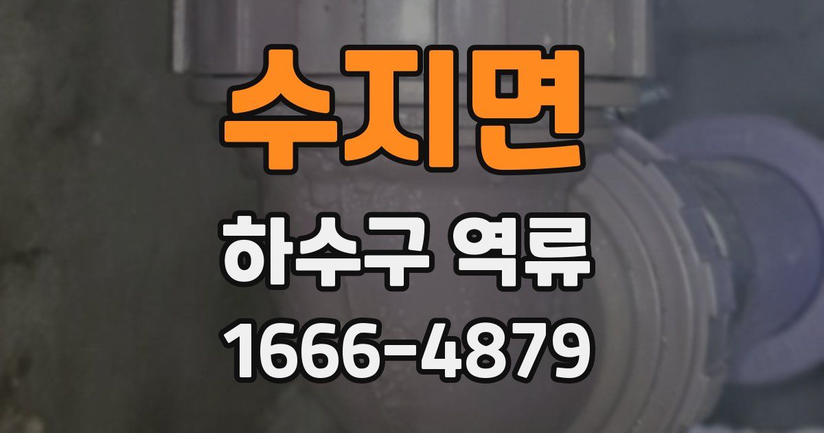 수지면 하수구 역류