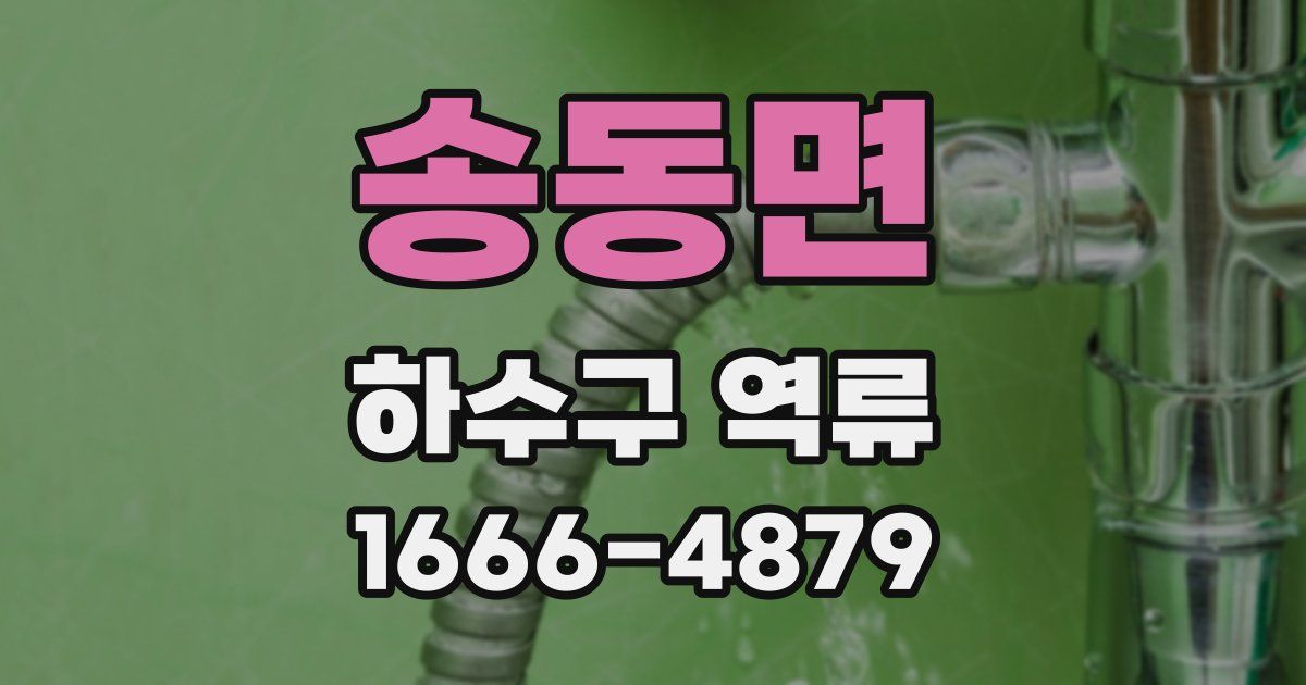 송동면 하수구 역류