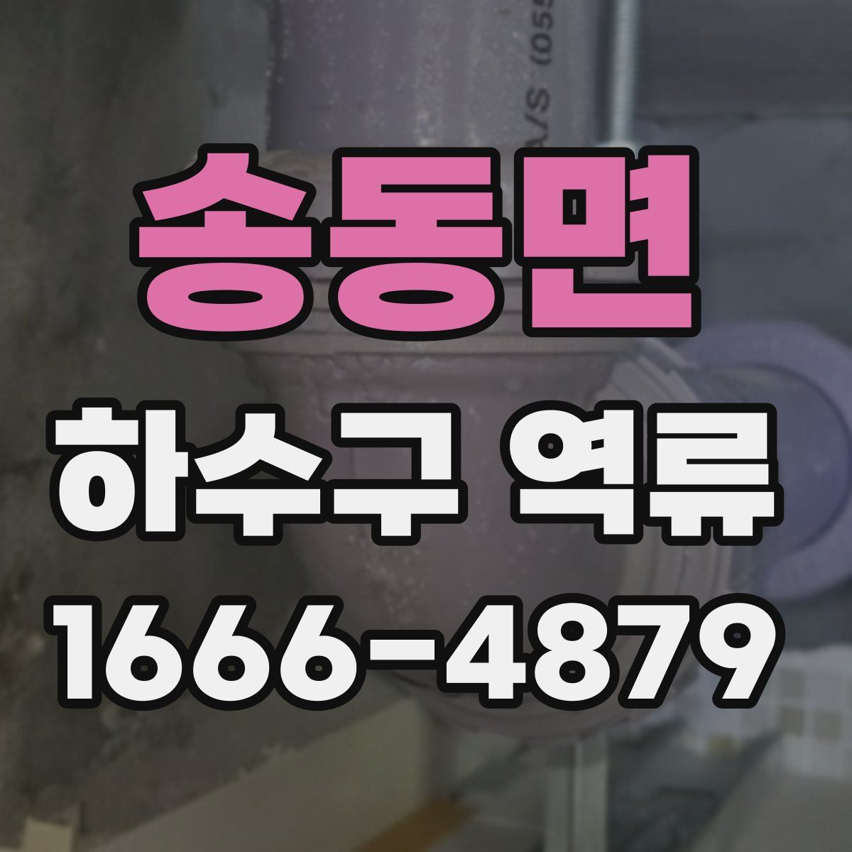 송동면 하수구 역류