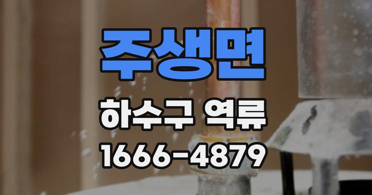 주생면 하수구 역류